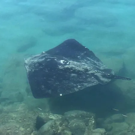 Paris Lovely Апартаменты Гран-Тарахал